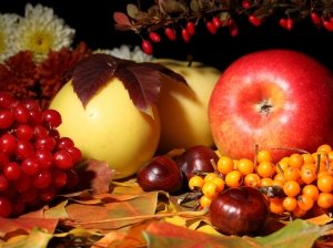 Осенний уход за яблонями