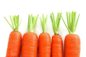 Лучшие сорта морковки для Сибири