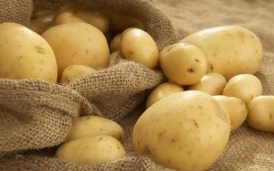 Сорта картофеля