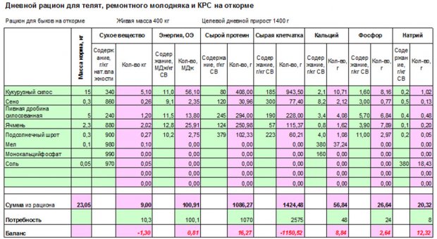 Чем кормить бычка в домашних условиях