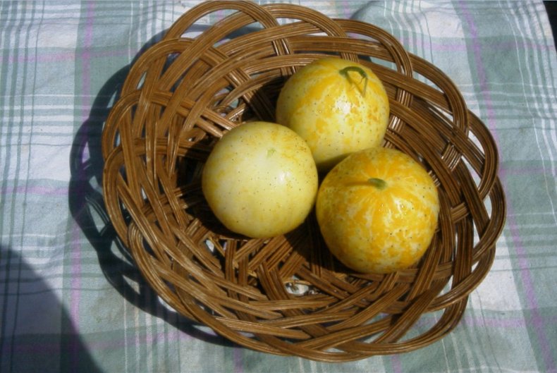 Огурец-лимон