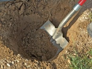 Выкопка ямы для посадки черешни