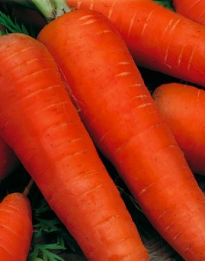 Сок моркови очень вкусный и полезный