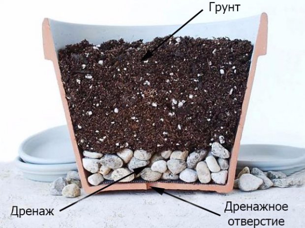 Дренаж для цветов Дренаж для цветов