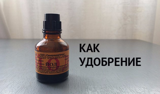 Йод как удобрение в огороде Йод как удобрение в огороде
