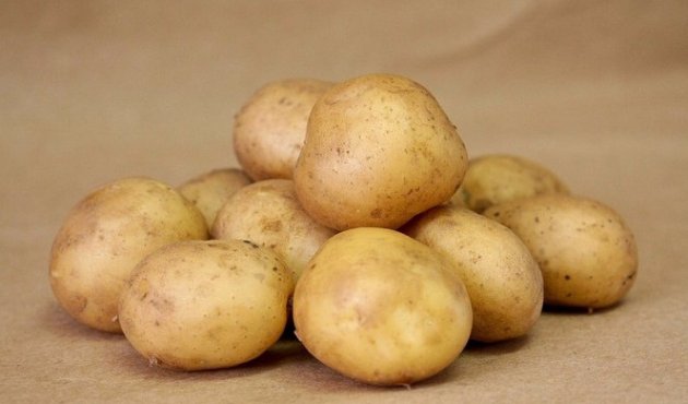 Сорт картофеля королева анна описание сорта Сорт картофеля королева анна описание сорта