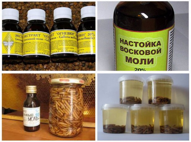 Для чего используют настойка прополиса