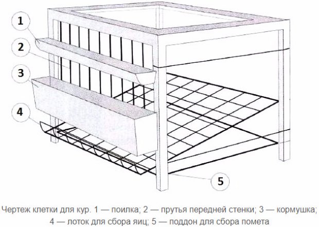 Чертежи клеток для несушек своими рука Чертежи клеток для несушек своими рука