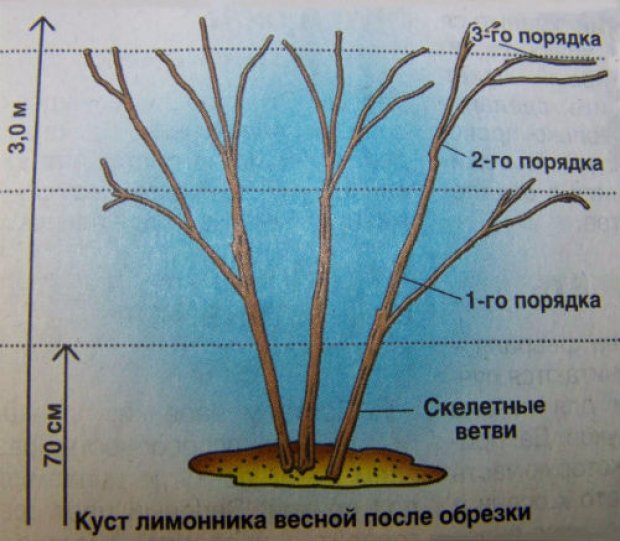 Очарование ирландского кружева Новые работы с использованием материала «Крупа» Страна