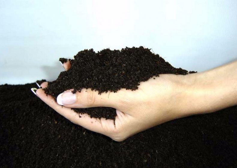 Почва для выращивания