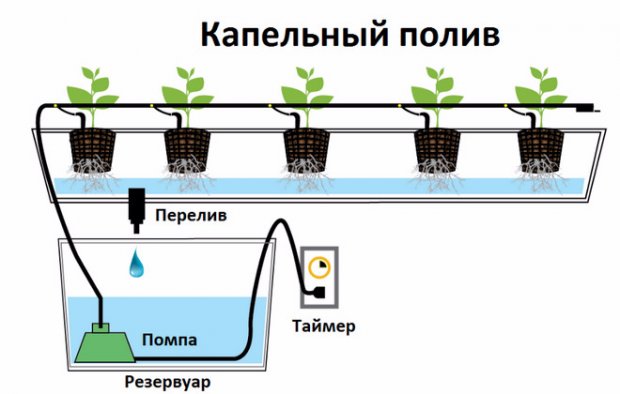 Как сделать свою гидропонную систему Как сделать свою гидропонную систему