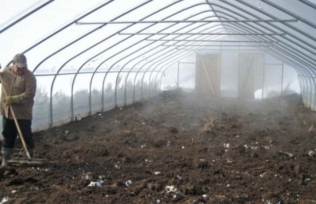 Грамотная обработка теплицы весной от болезней и вредителей Грамотная обработка теплицы весной от болезней и вредителей