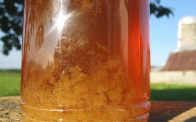 Жидкий и засахарившийся мед: отличия