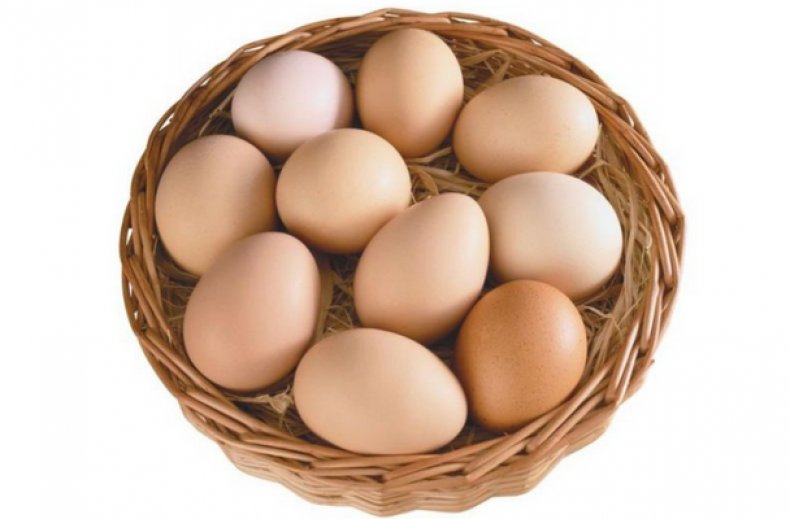 Яйца бройлеров