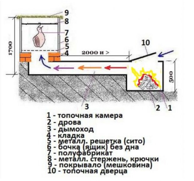 С какой скоростью растут брови С какой скоростью растут брови