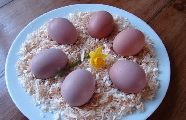 Яйца лангшанов