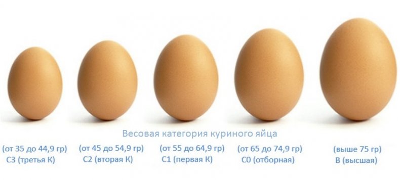 Категории куриных яиц