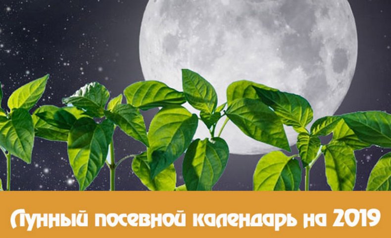Лунный посевной календарь на 2019 год