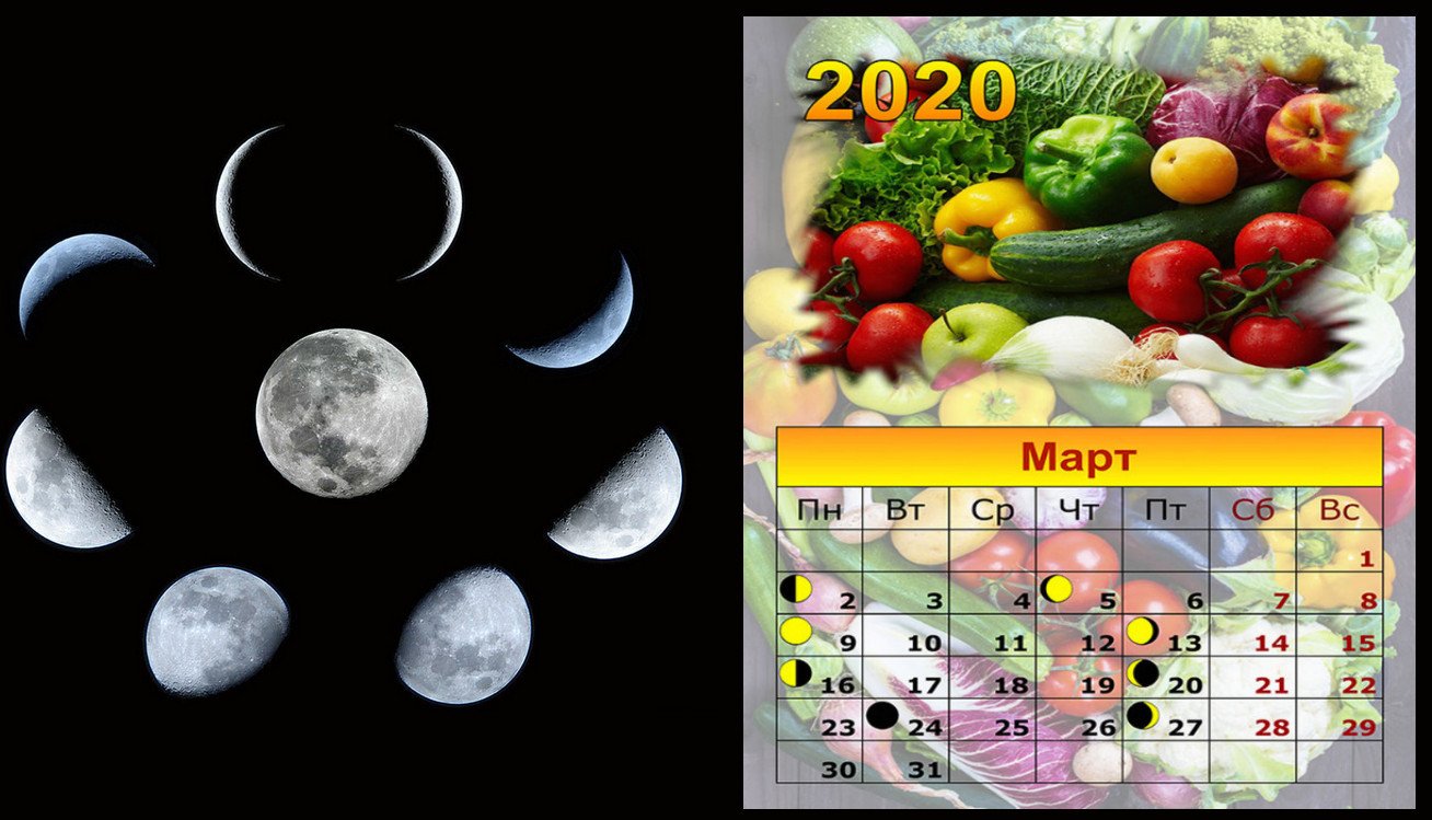 Календарь огородника на март 2023