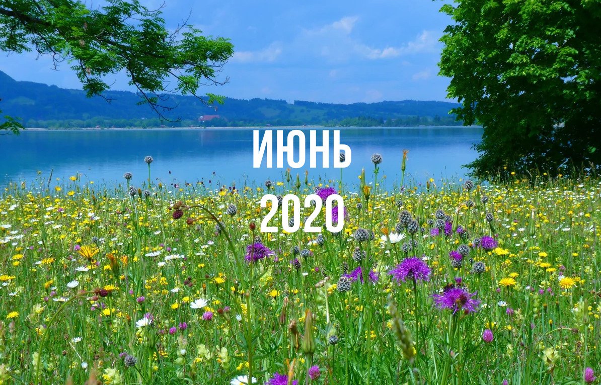 Лунный календарь садовода и огородника на июнь 2020