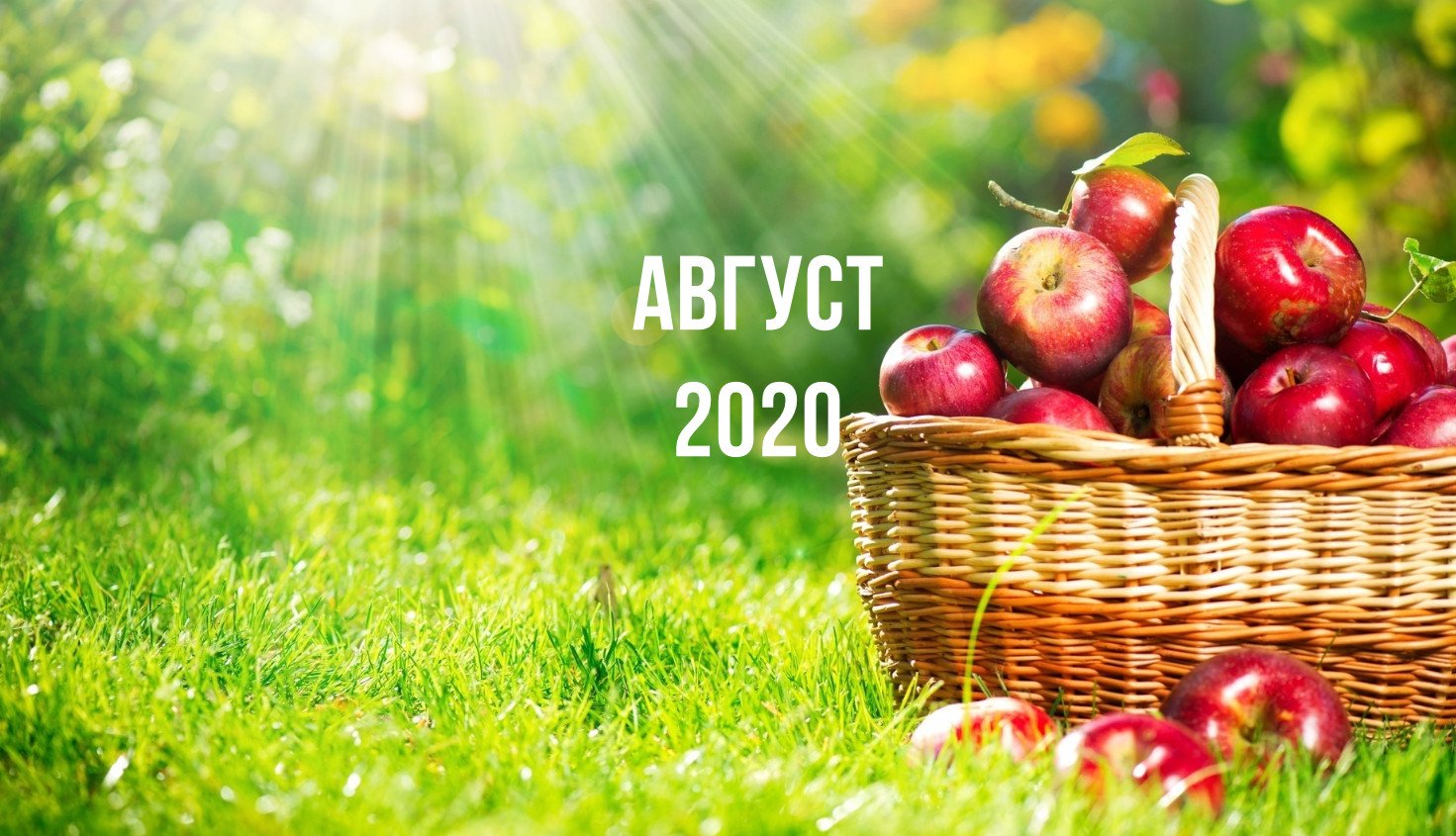 Лунный посевной календарь садовода и огородника на август