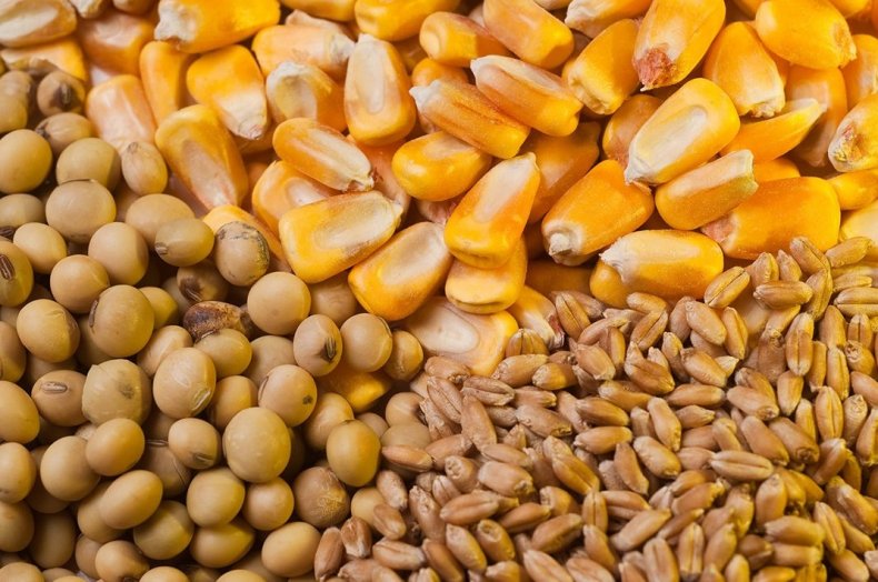 Долгосрочные прогнозы USDA сохраняют цены на кукурузу и сою низкими