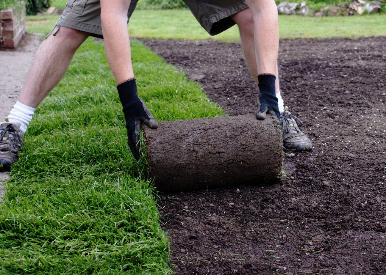 Как подготовить почву для рулонного газона: подготовка основания для .
