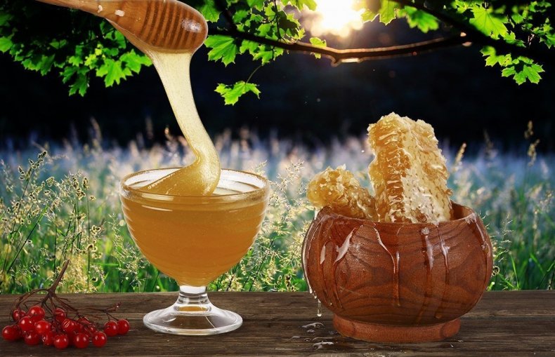 Предотвращение образования вредных остатков в мёде: механические меры вместо глифосата?