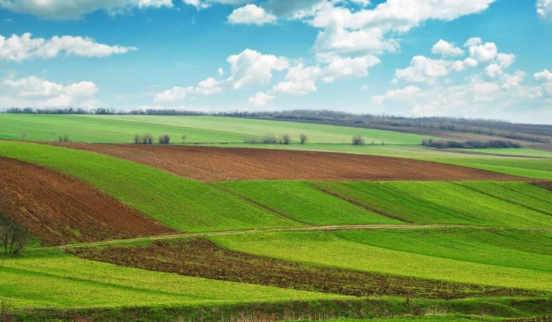 Площадь сельскохозяйственных земель в Бразилии растёт