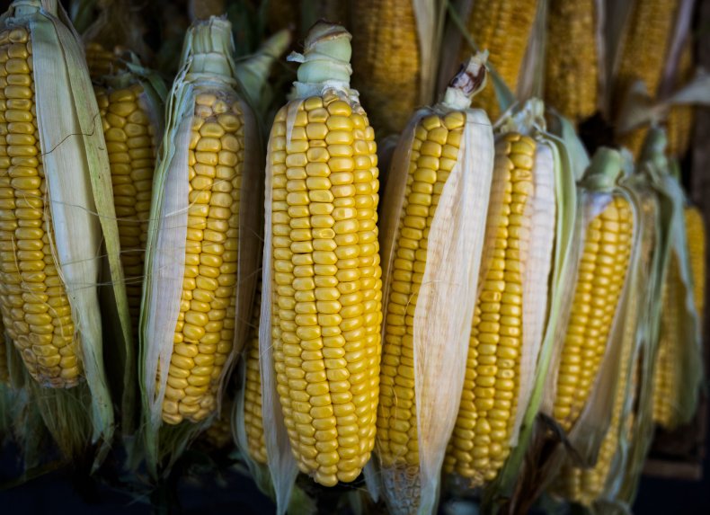 Министерство сельского хозяйства США сделало прогнозы по зерновым