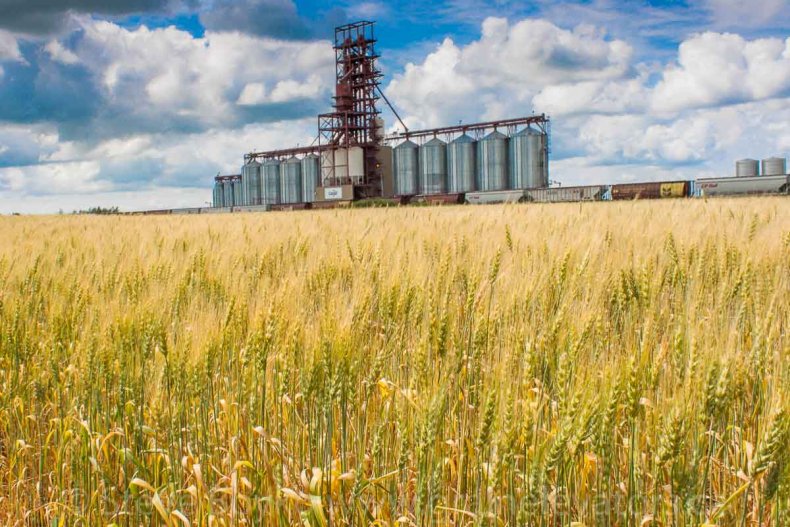 Cargill поддерживает Бразилию и её позицию хлебной страны