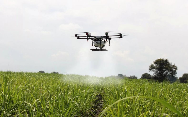 В Великобритании дроны помогают производителям снизить потери семян масличных культур