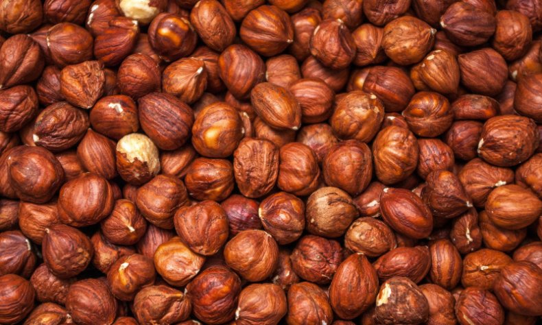 В Турции экспорт лесного ореха в период сбора за прошлый сезон достиг 2,2 млрд долларов