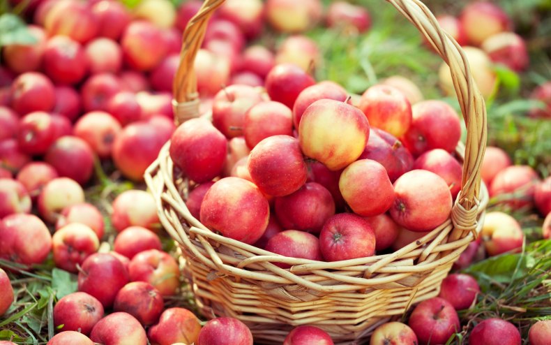Благоприятный сезон для красных сортов яблок в Молдове