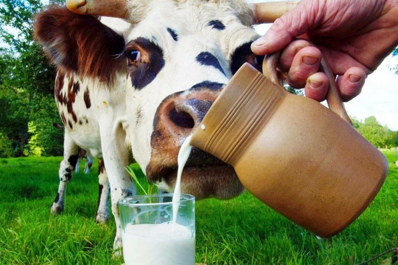 Цены на коровье молоко