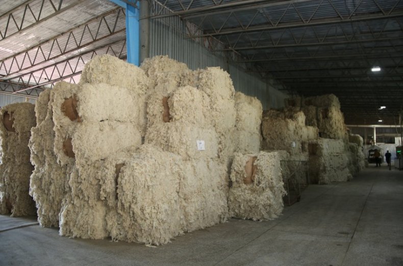 Производство овечьей шерсти