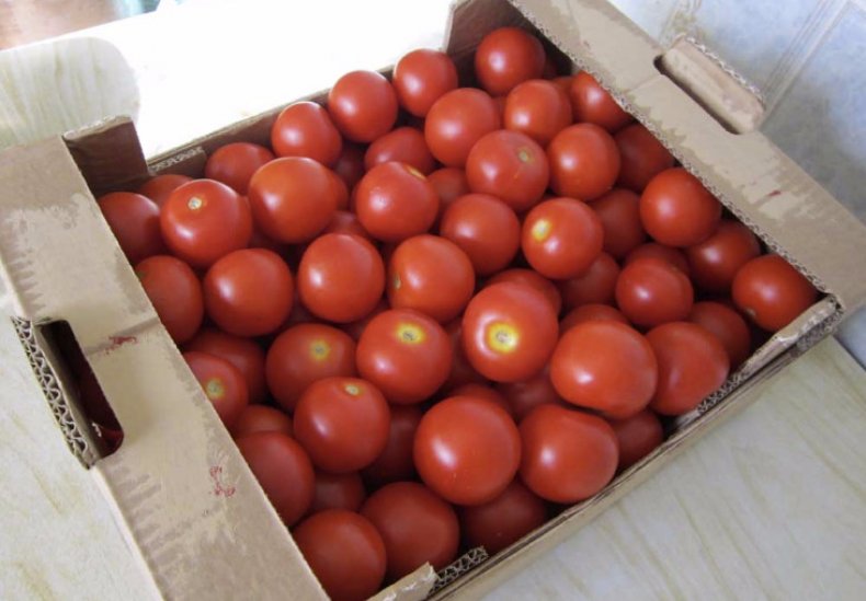 Хранение помидоров