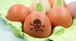 Есть яйца зараженных кур категорически запрещается