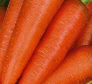 Морковь сорта «Даяна» может долго храниться