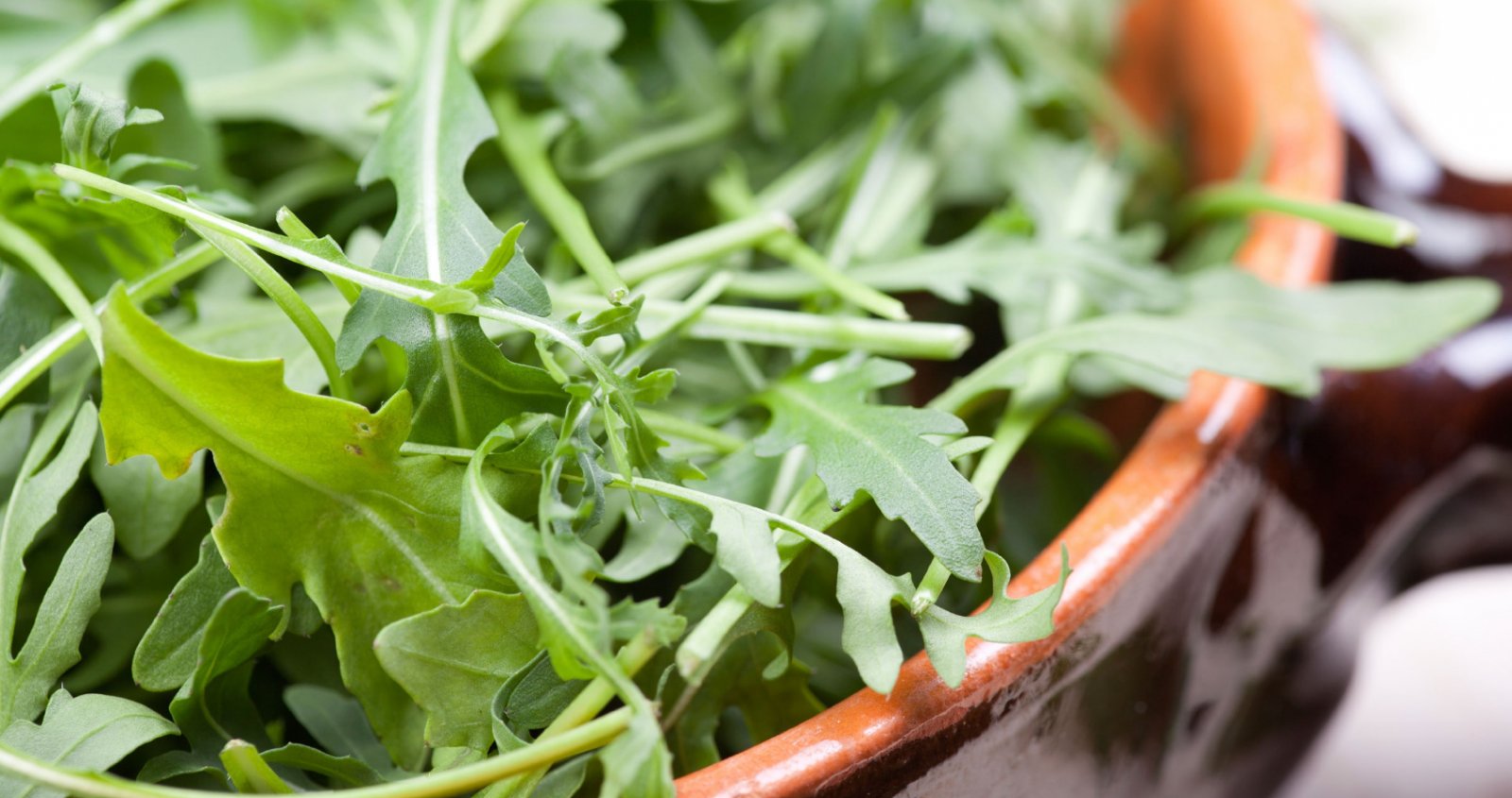 Чем полезна руккола для организма человека: применение и противопоказания