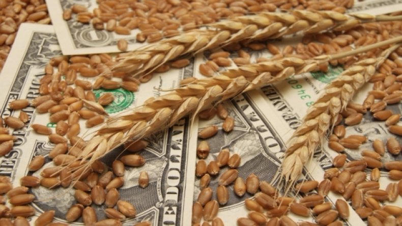 Минсельхоз России не возобновит интервенцию по закупкам зерна