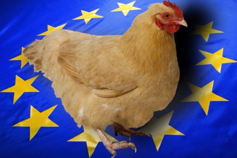 Из-за вспышек птичьего гриппа между Украиной и ЕС введены региональные ограничения