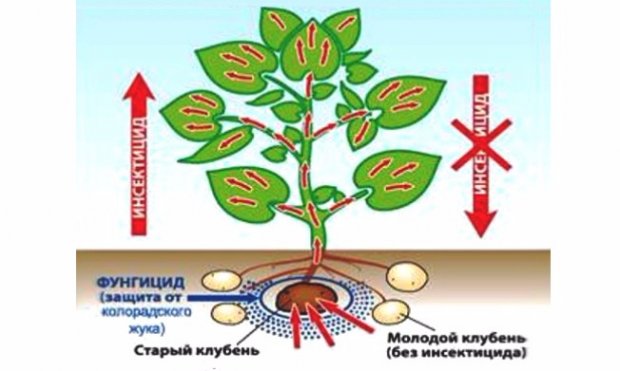 Инструкция По Применению Препарата Престиж