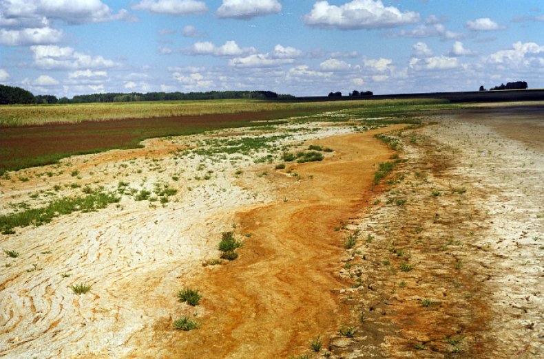 В Крыму почвы теряют плодородие через засоления