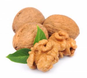Польза и вред грецких орехов, использование в медицине и косметологии