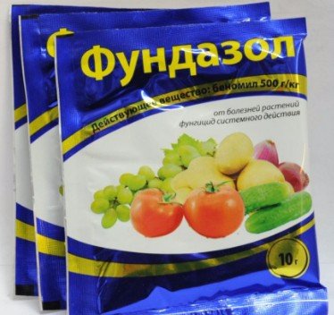 Фунгицид "Фундазол": описание, применение, нормы расхода, совместимость