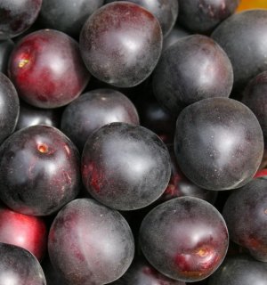 Плоды абрикоса Черный бархат