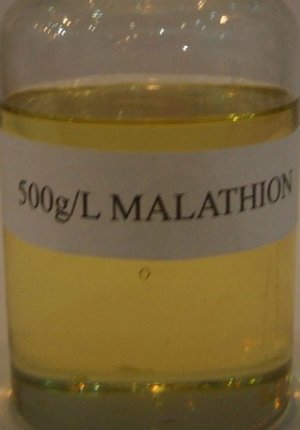 Малатион - действующее вещество
