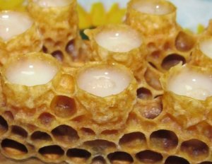 Пчелиное молочко