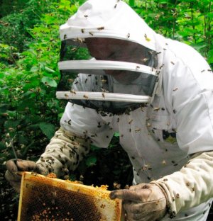 Защита пчеловода